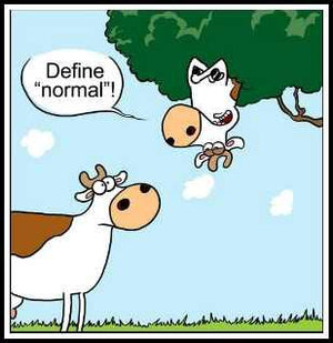 Definitions of Abnormality (Psychopathology Model Answers) (Paper 1 Model Answers)