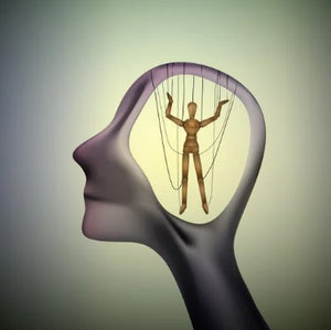 FREE WILL + DETERMINISM (Issues and Debates Model Answers) (Paper 3 Model Answers)