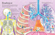 Load image into Gallery viewer, See Inside Your Body