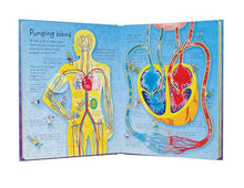 Load image into Gallery viewer, See Inside Your Body