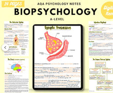 Load image into Gallery viewer, AQA A-level Psychology full condensed notes: BIOPSYCHOLOGY printable white background