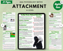 Load image into Gallery viewer, AQA A-Level Psychology Complete Handwritten Notes: ATTACHMENT