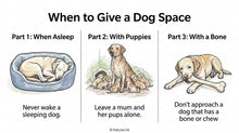 Load image into Gallery viewer, KS2 Animal Welfare Act & Pet Safety L3