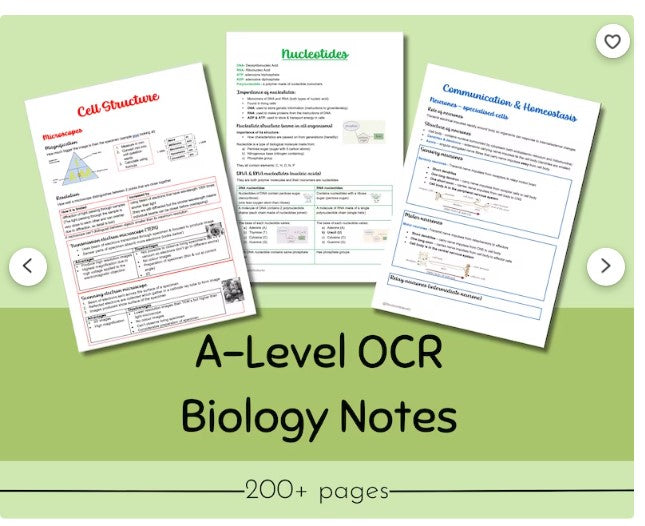 OCR A-level Biology Revision Notes Year 1 + 2