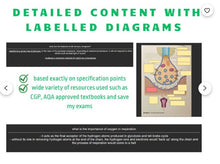 Load image into Gallery viewer, AQA A Level Biology Anki Flashcards (Year 2 Only) - Including Essay Plans and Essay Paragraph Ideas - From an A* Student