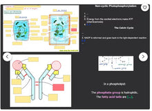 Load image into Gallery viewer, ULTIMATE A-Level Biology Revision Bundle | Complete Notes | Flashcards | Mark Scheme Bank