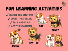 Load image into Gallery viewer, Emotions Matching Game for Kids | SEL Feelings Cards & Activities | Ages 3–8