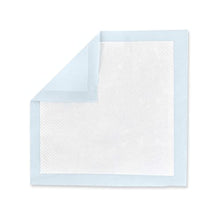 Load image into Gallery viewer, Amazon Basics Dog and Puppy Training Pads, Leakproof, 5-Layer Design with Quick-Dry Surface, Regular, Pack of 100