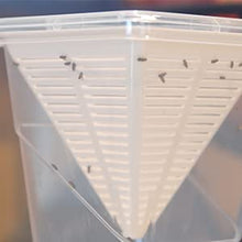 Load image into Gallery viewer, 4x Fruit Fly Trap Indoor Gnats Trap Reusable Fruit Flies Catcher Environmentally Responsible Fruit Fly Killer Pet and People Safe