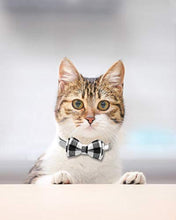 Load image into Gallery viewer, Joytale Cat Collar with Bell and Bow Tie, Quick Release Safety Collars for Kitten and Cats, Soft Tartan Collar, 1 Pack, Black