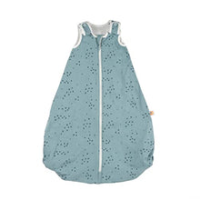 Load image into Gallery viewer, Ergobaby Baby Sleeping Bag 18-36 Month with Feet and Car Seat Belt Slot, On The Move - Hugs and Kisses, 0.5 TOG