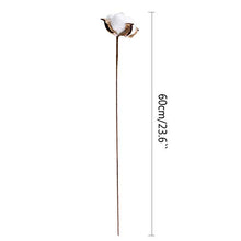 Load image into Gallery viewer, Ruiuzioong Natural Dried Cotton Stem Farmhouse Artificial Flower Filler Floral Arrangement DIY Home Party Decor (20pcs pack)