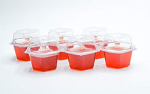 Load image into Gallery viewer, Beapco 10036 Pre-Filled Fruit Fly Trap, Pack of 6, Clear, 20 in