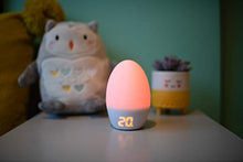 Load image into Gallery viewer, GroEgg Thermometer