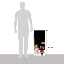 Load image into Gallery viewer, PRO PLAN Optiderma Sensitive Skin Medium Adult Dry Dog Food Salmon 14kg