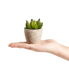 Load image into Gallery viewer, PRIMAISON Artificial Succulents Plants Potted Set-Decorative Fake Succulent Plant Faux Plastic Plant Indoor &Outdoor for House Office Desk Bathroom Kitchen DIY Decor Gift Set of 6
