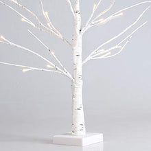 Load image into Gallery viewer, Eambrite Mini White Tree Christmas Cards Display Tree Tabletop Birch Tree Battery Operated LED Twig Tree for Party Wedding Christmas Special Celebration (60cm)