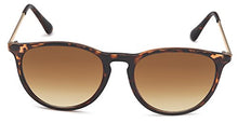 Load image into Gallery viewer, Vintage sunglasses in 60s style with trendy gold-coloured metal arms Panto - retro glasses - - One size