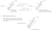 Load image into Gallery viewer, Moerie Ultimate Mineral Hair Growth Spray – For Longer, Thicker, Fuller Hair - with Biotin & Caffeine - Vegan Hair Products – Paraben Free – All Hair Types – Reverse Hair Loss