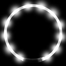 Load image into Gallery viewer, Joytale Light Up Dog Collar,LED Flashing Dog Collar for Night Walking, Illuminated USB Rechargeable Glow Collars for Puppy Small Medium and Large Dogs,White