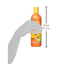 Load image into Gallery viewer, Creme of Nature Mango & Shea Butter Ultra Moisturizing Shampoo 12oz by Creme of Nature, White