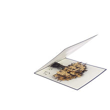 Load image into Gallery viewer, 50th Wedding Anniversary Pop Up Card - Golden Wedding Anniversary Card, Handmade Cards by Cardology