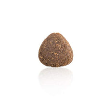 Load image into Gallery viewer, Arden Grange Sensitive Light/Senior Dry Dog Food, Fish, 12 kg