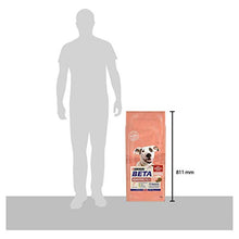 Load image into Gallery viewer, BETA Sensitive Adult Dry Dog Food Salmon 14kg