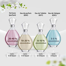 Load image into Gallery viewer, Aromatics Elixir by Clinique Eau de Parfum For Women, 100ml