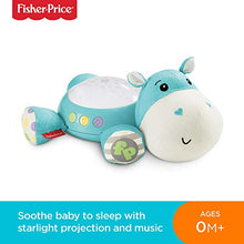 Load image into Gallery viewer, Fisher-Price CGN86 Hippo Plush Projection Soother, New-Born Soft Light Projector White Noise Toy