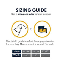 Load image into Gallery viewer, Ruffwear Flat Out Collar, Classic Dog Collar for Small to Very Small Breeds, Adjustable Fit, Size: Small (28-36 cm/11-14 in), Forest Horizon…