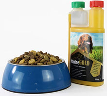 Load image into Gallery viewer, Canine Gold - Hip and Joint Care Supplement For Dogs - 100% Natural Ingredients (500ml)