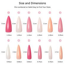 Load image into Gallery viewer, Makartt Acrylic Nail Kit, Press On Nails Set 240pcs Long Stiletto Nail Tips Gelly Tips Full Cover Nude 4pcs Nail Glues 1pcs Nail File False Nail Kit
