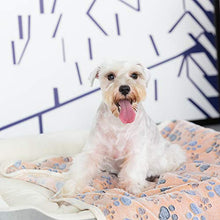 Load image into Gallery viewer, Allisandro® Premium Fluffy Durable Dog Blanket, Soft Warm and Washable Fleece Cat Puppy Throw for Small Medium Large Pet, Coffee 100 x 80cm