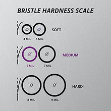 Load image into Gallery viewer, PRESIDENT Exclusive Medium Toothbrush -- Cleans and Removes Plaque, Tartar and Staining to Prevent Cavities -- 6 MIL (Purple/Multicolour)