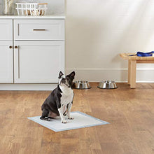 Load image into Gallery viewer, Amazon Basics Dog and Puppy Training Pads, Leakproof, 5-Layer Design with Quick-Dry Surface, Regular, Pack of 100