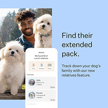 Load image into Gallery viewer, Wisdom Panel Breed Discovery - Dog DNA Collection Kit 2.0