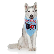 Load image into Gallery viewer, dog birthday presents