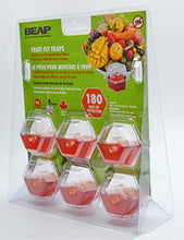 Load image into Gallery viewer, Beapco 10036 Pre-Filled Fruit Fly Trap, Pack of 6, Clear, 20 in