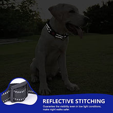 Load image into Gallery viewer, Amazon Brand - Umi Reflective Dog Collar, Adjustable Basic Dog Collar with Safety Locking Buckle and Soft Neoprene Padded, Durable Nylon Pet Collars for Puppy Small Medium Large Dogs