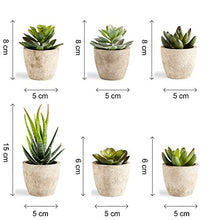 Load image into Gallery viewer, PRIMAISON Artificial Succulents Plants Potted Set-Decorative Fake Succulent Plant Faux Plastic Plant Indoor &Outdoor for House Office Desk Bathroom Kitchen DIY Decor Gift Set of 6