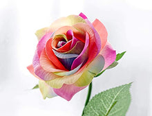 Load image into Gallery viewer, FiveSeasonStuff Real Touch Roses Artificial Flower 10 Stems Silk Roses 'Fresh Like ‘Petal Feel’ Bouquet of Flowers Floral Arrangements (Rainbow #17)