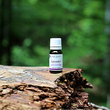 Load image into Gallery viewer, Fuse Scent Lavender Essential Oil - 100% Pure & Natural – Scented Oil, UNDILUTED, Premium – Perfect for Aromatherapy, Relaxation & More! – 10ml