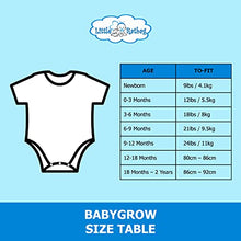 Load image into Gallery viewer, Little Ratbag Unisex Baby Bodysuit Vest - 100% Cotton Funny 0-3 Months Baby Clothes - Short Sleeves Boy & Girl Baby Grows Clothing Suit -"Hand Picked for Earth by My Nanny in Heaven" - White
