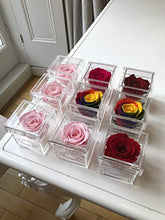 Load image into Gallery viewer, Eternal Petals Solo - A Real Rose That Lasts A Year - Perfect Unique Gift for Women, Men, Birthday Gift (Deep Red)