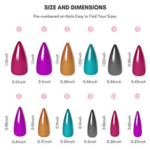 Load image into Gallery viewer, Makartt Acrylic Nail Kit, Press On Nails Set Short Stiletto Nail Tips Full Cover Vivid Color 4pcs Nail Glues 1pcs Nail File with Case False Nail Kit, Nail Pump-Ups in Girls' Night Out 240pcs