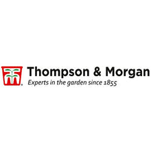 Load image into Gallery viewer, Pair of Phoenix Palm Canariensis Exotic Outdoor Plants Drought Tolerant Evergreen Palm Tree Canary Island Date Baring Tropical Spiked Foliage 2X Palms in 1.5L Pots by Thompson & Morgan