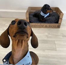 Load image into Gallery viewer, wooden bed for dogs