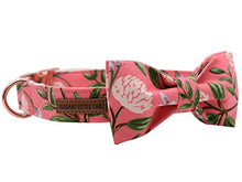 Load image into Gallery viewer, ELEGANT LITTLE TAIL Dog Collar with Bow, Cotton & Webbing, Bowtie Dog Collar, Adjustable Dog Collars for Small Medium Large Dogs