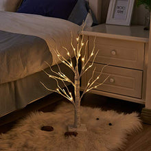 Load image into Gallery viewer, Eambrite Mini White Tree Christmas Cards Display Tree Tabletop Birch Tree Battery Operated LED Twig Tree for Party Wedding Christmas Special Celebration (60cm)